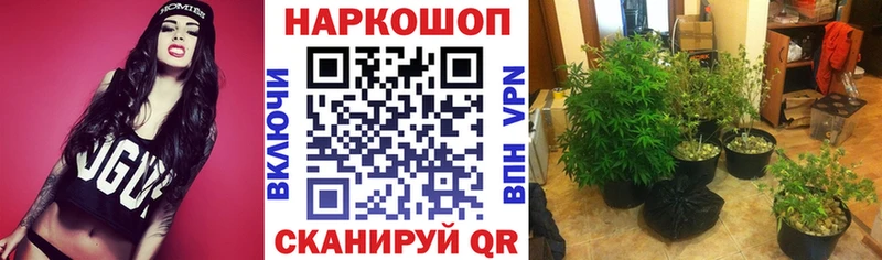 Хочу наркоту Новопавловск АМФ  Бутират  ЭКСТАЗИ  МАРИХУАНА  APVP 