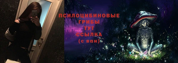 гидропоника Абаза
